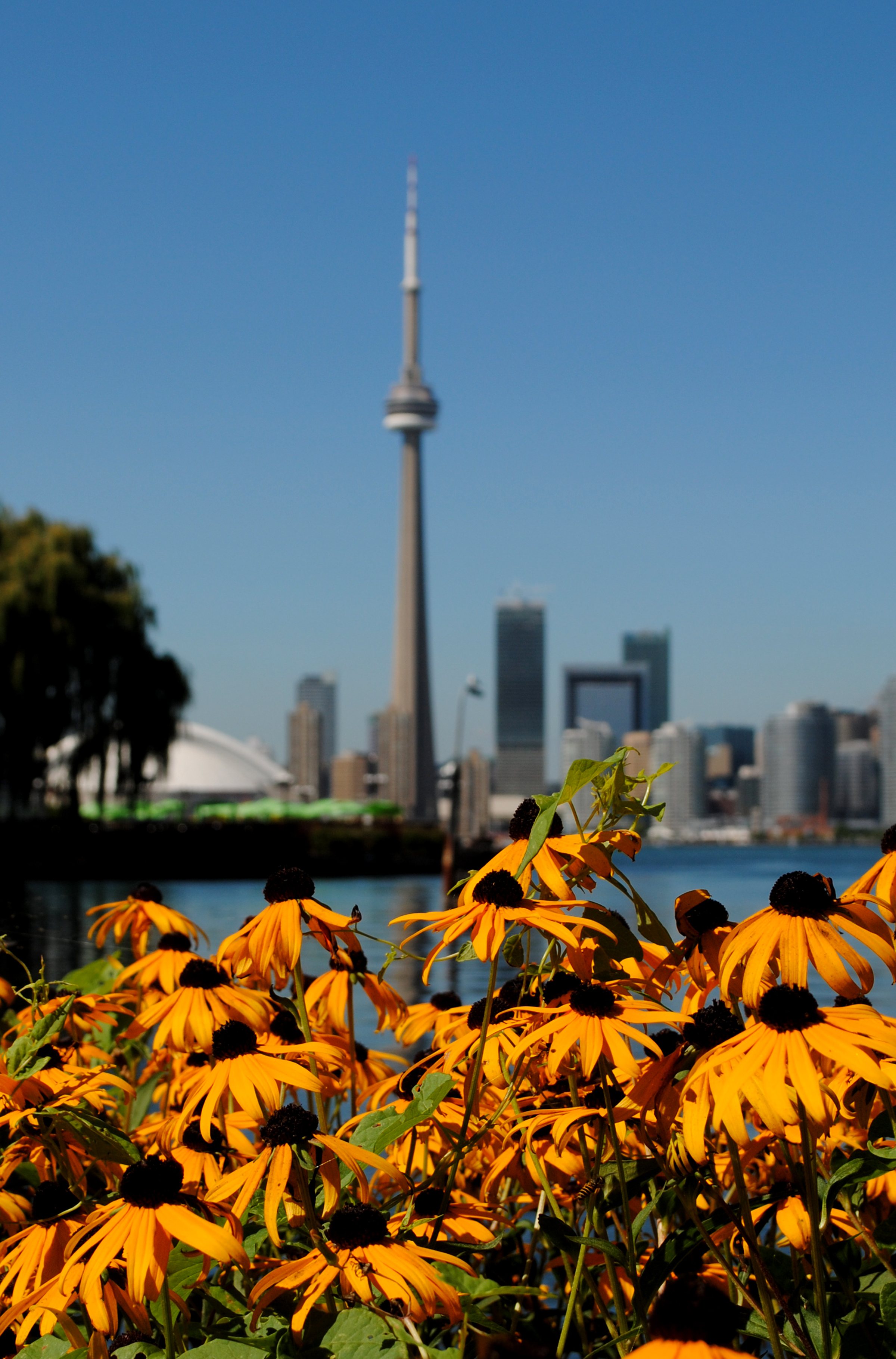 CN Tower vista a partir das Toronto Islands