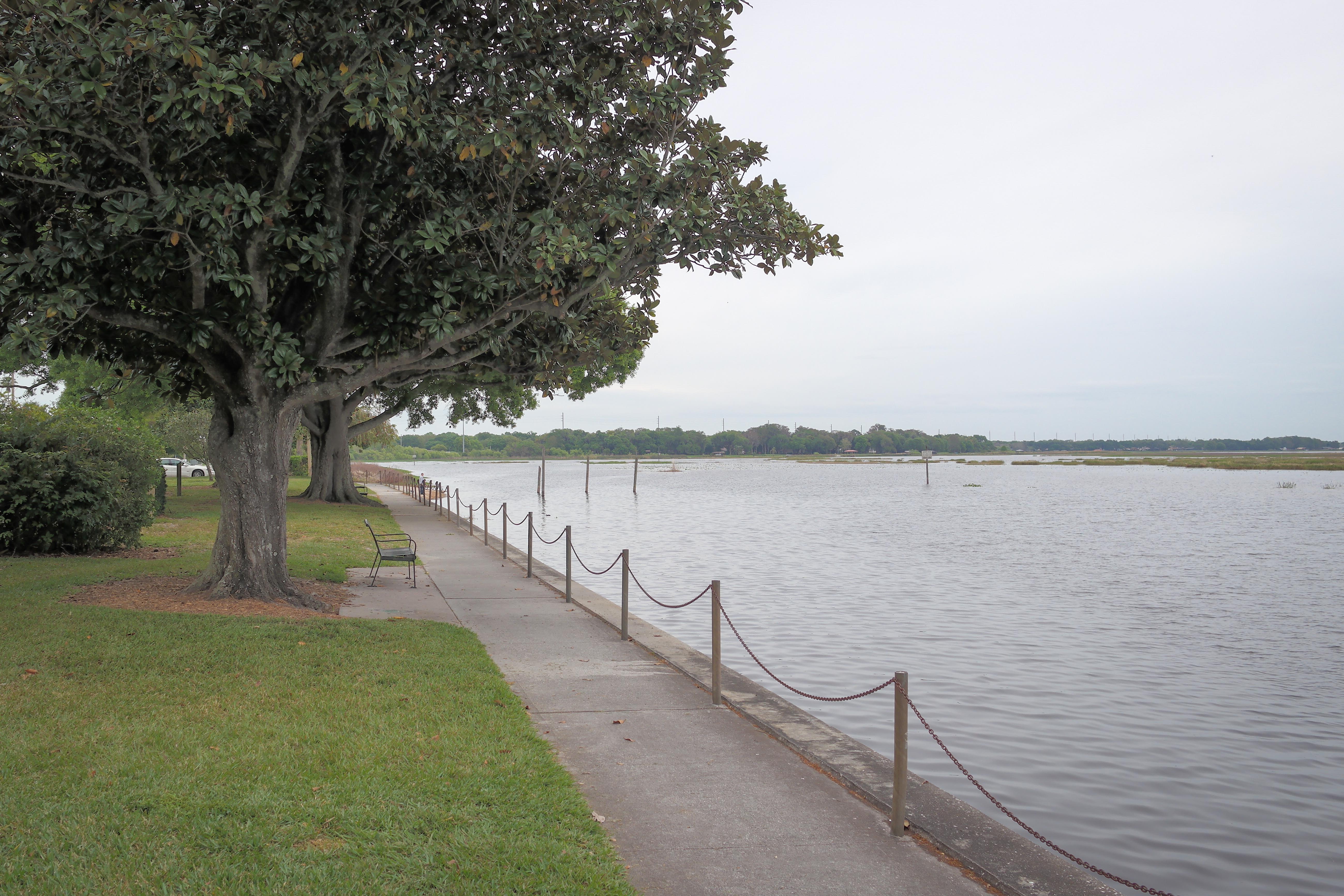Vista do Kissimmee Lakefront Park as margens do Lago Tohopekaliga