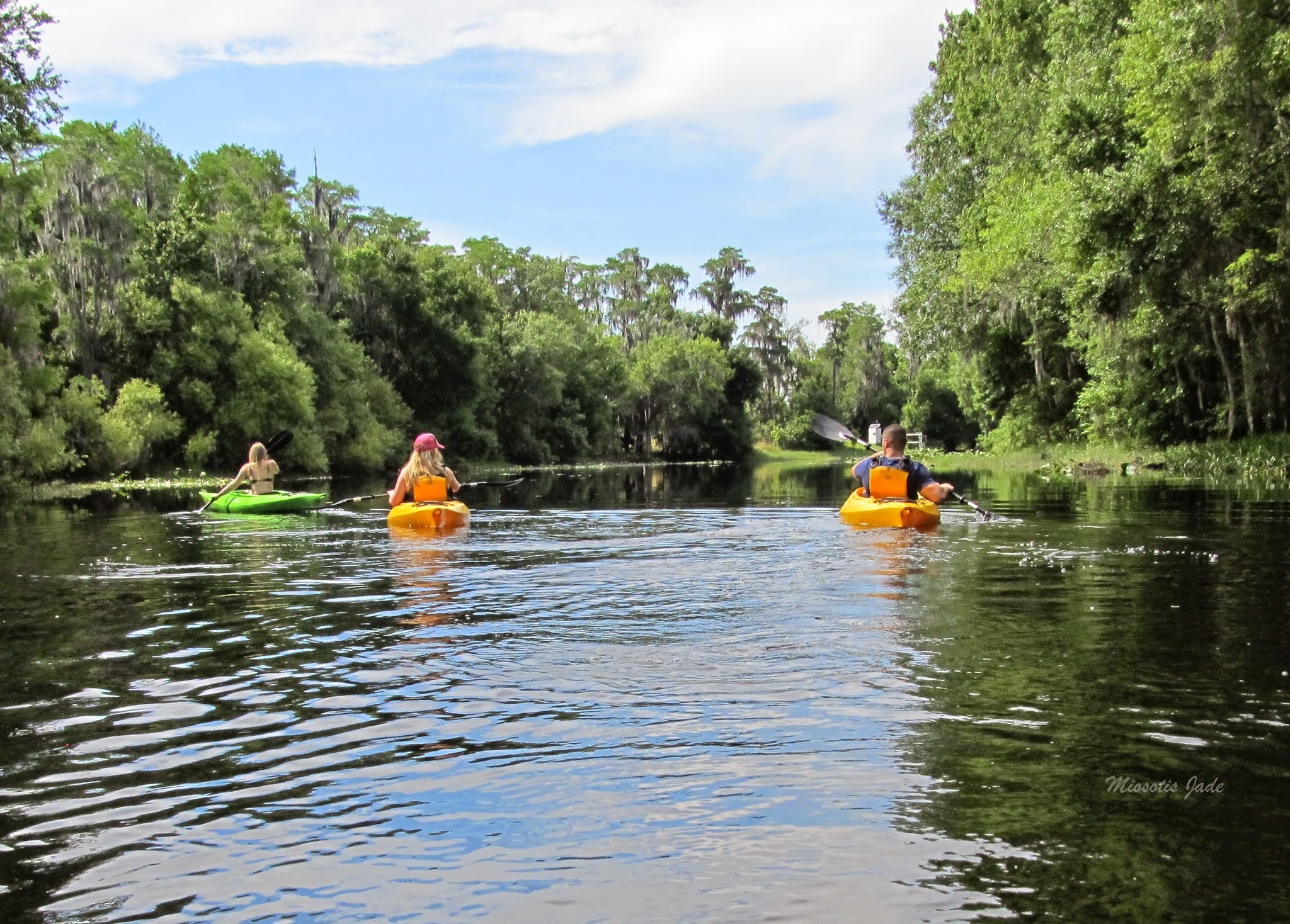 Area natural do Shingle Creek Regional Park em Kissimmee