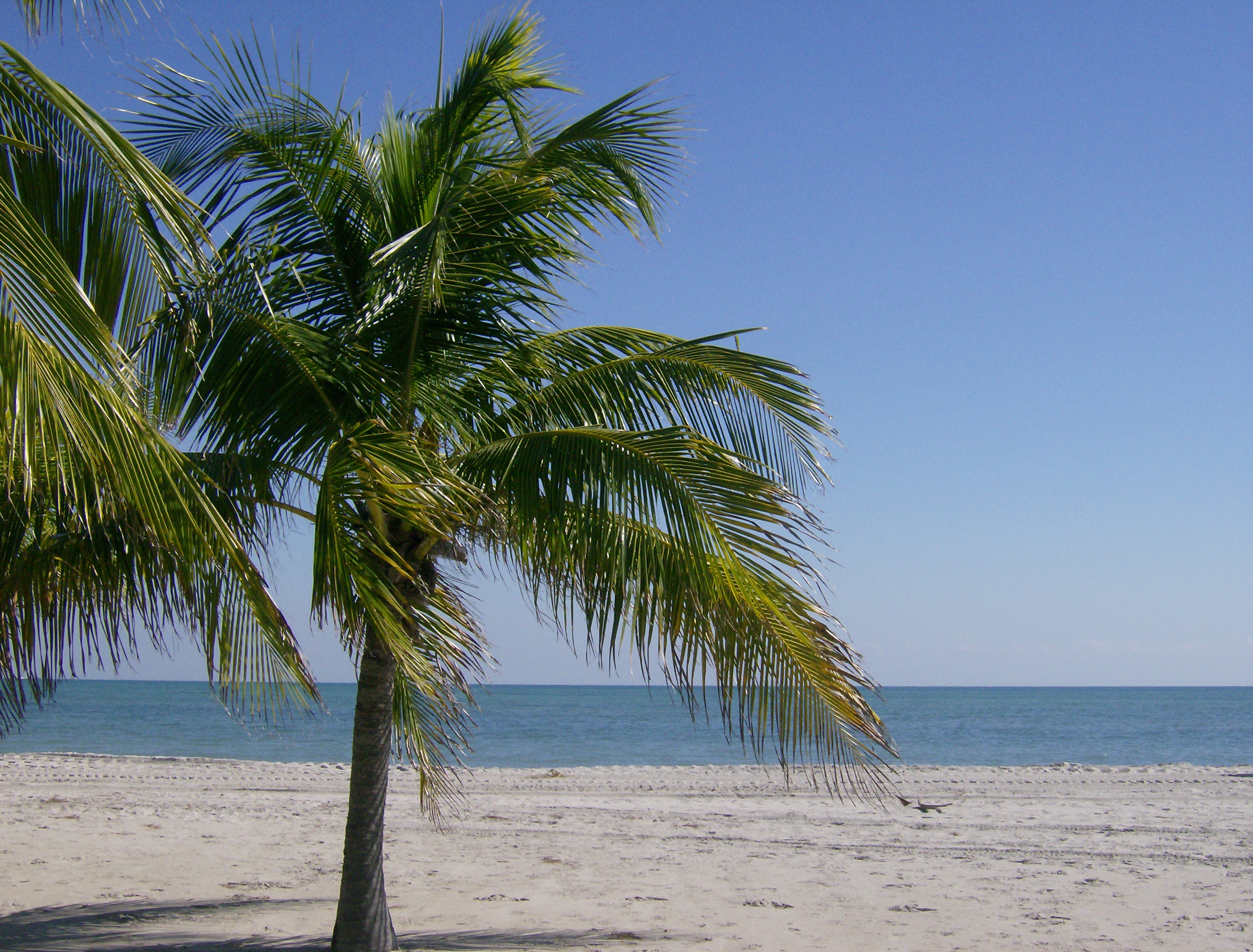 Praia de Crandon Park em Key Biscayne